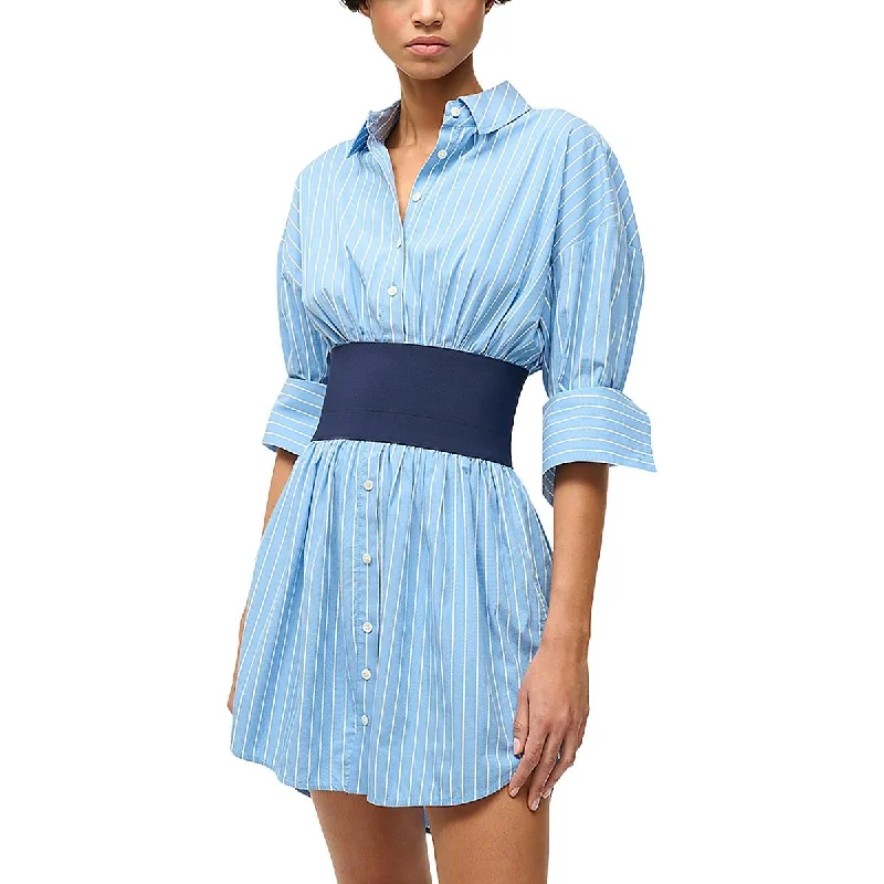 Womens Pinstripe V-Neck Shirtdress Classic Button Shirt